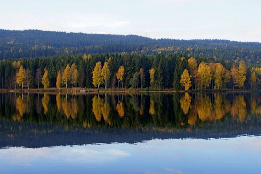 Piękna norweska jesieńn