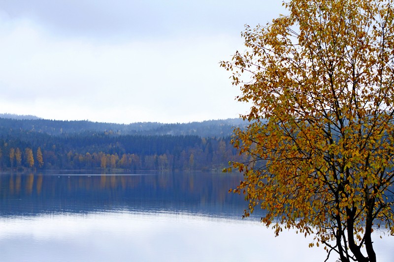 Piękna norweska jesień w Nordmarce