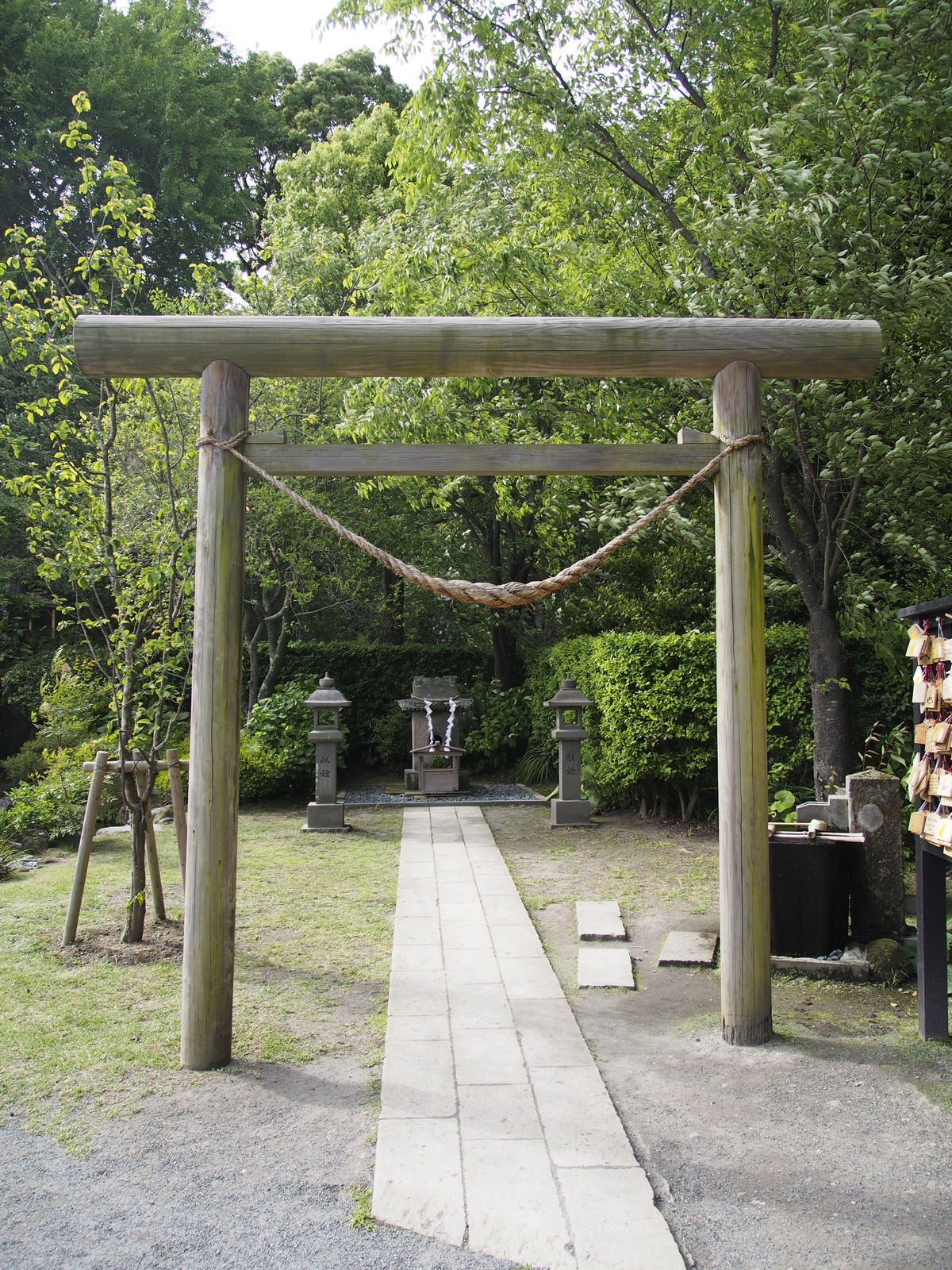 Kocie świątynie i chramy w Japonii - Nekogami Jinja